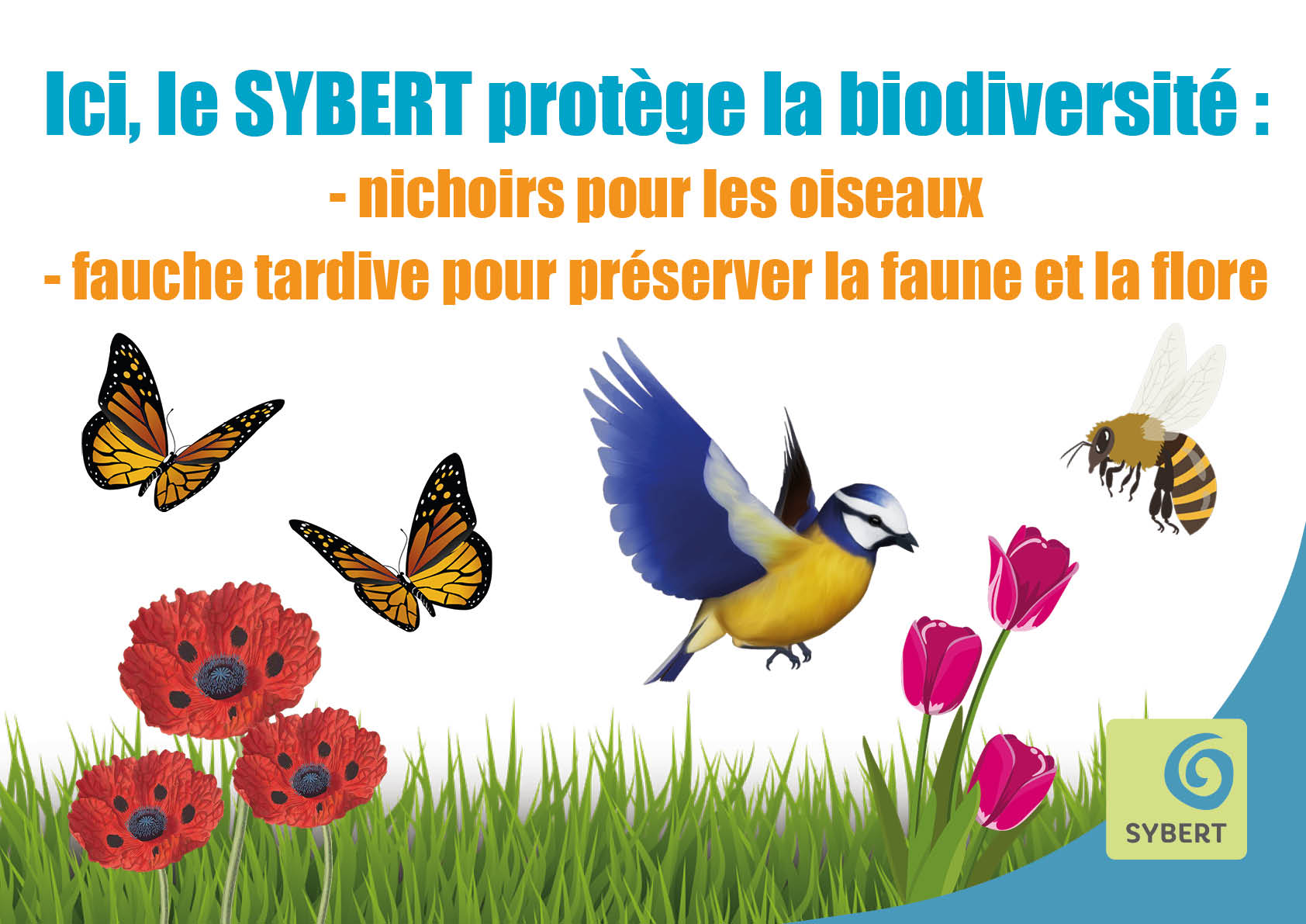 Le SYBERT protège la biodiversité sur ses déchetteries
