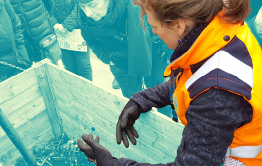 Formation “Les bons gestes pour réussir mon compost”